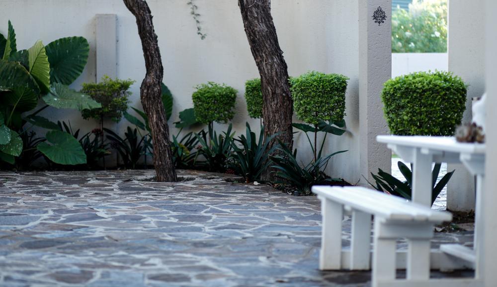 The Hedge Guesthouse Kuruman Extérieur photo